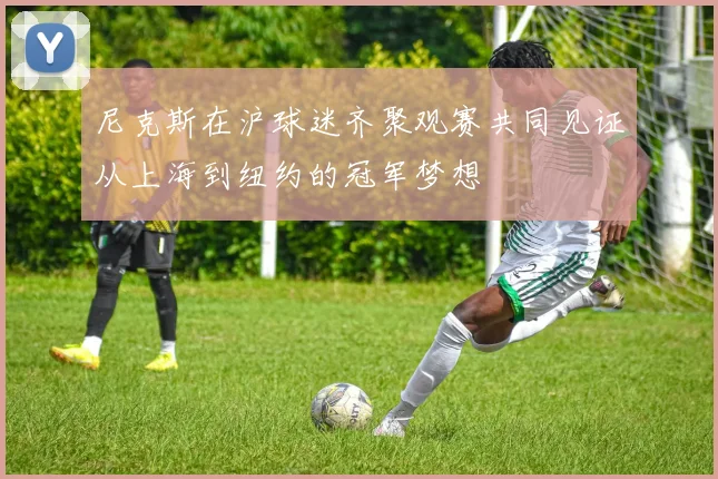 尼克斯在沪球迷齐聚观赛共同见证从上海到纽约的冠军梦想